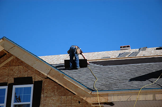 Best Roof Gutter Cleaning  in Bear Creek, FL